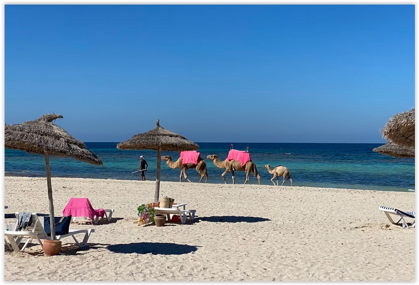 Najlepsze hotele przy piaszczystej plaży w Tunezji
