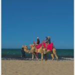 Port lotniczy Tunis-Kartagina