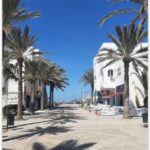 Djerba czy Tunezja kontynentalna – gdzie na wakacje?